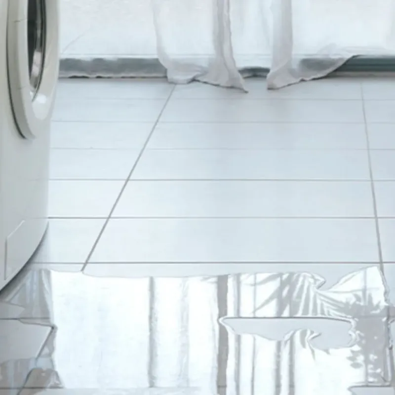 Appliance Leak Cleanup in Enetai, WA