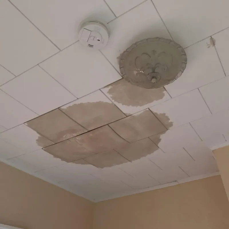 Ceiling Water Damage Repair in Enetai, WA