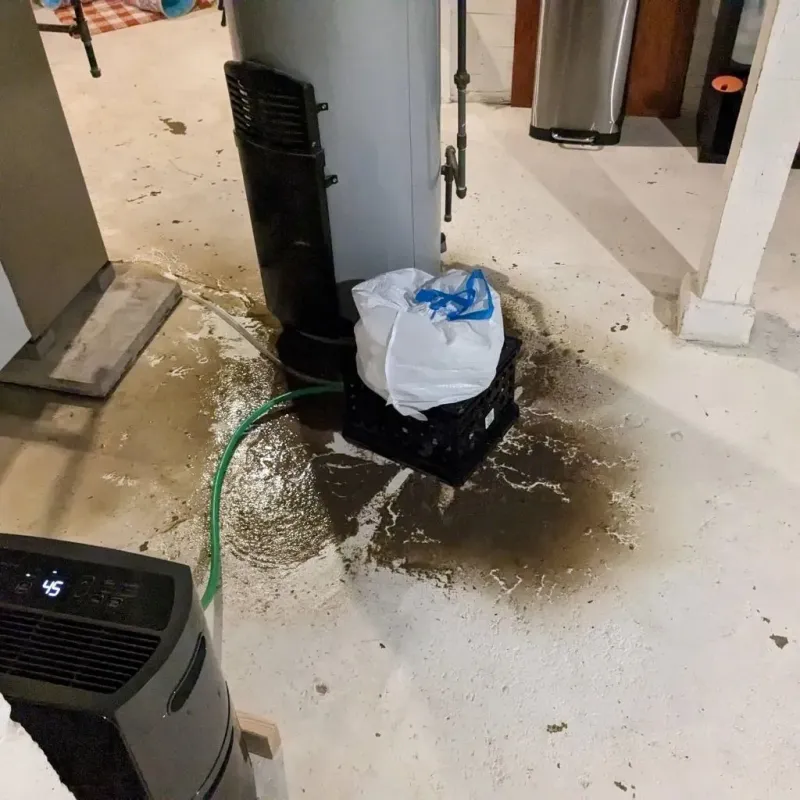 Sewage Backup Cleanup Service in Enetai, WA